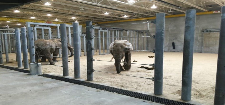 Milwaukee County Zoo African Elephant Exhibit – Milwaukee, WI